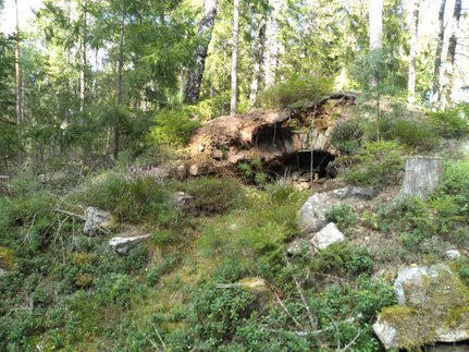 ein alter Erdkeller mitten im Wald